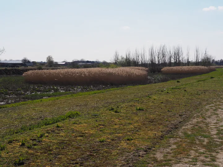 Kalkense Meersen (België)